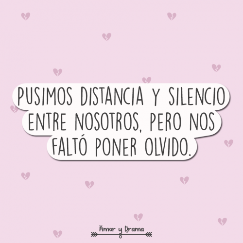 Pusimos distancia y silencio entre nosotros pero nos falto poner olvido
