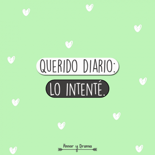 Querido diario lo intente