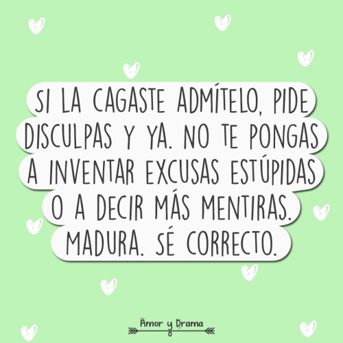 Si la cagaste admitelo pide disculpas y ya no te pongas a inventar excusas estupidas o a decir mas mentiras madura se correcto