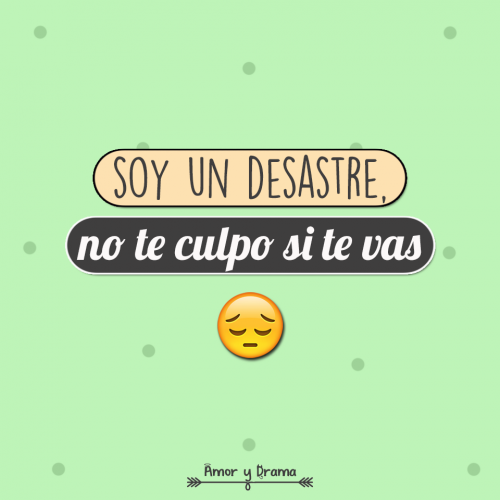 Soy un desastre no te culpo si te vas