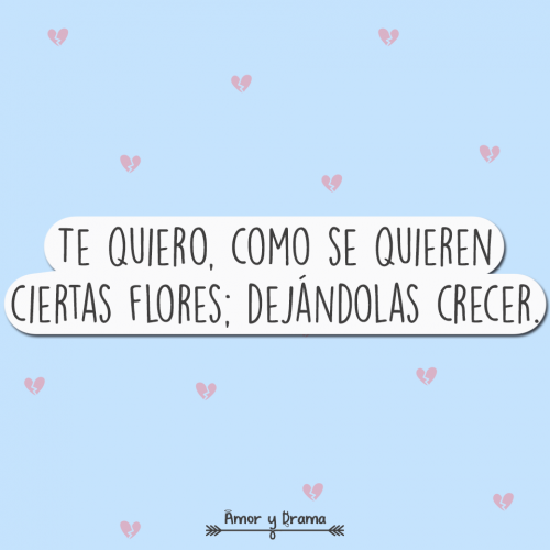 Te quiero como se quieren ciertas flores dejandolas crecer